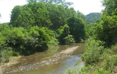 Dòng suối chảy ngược hàng trăm năm gắn bó đời sống người địa phương