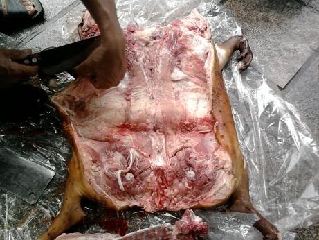 Thịt lợn mán được đưa xuống Hà Nội tiêu thụ