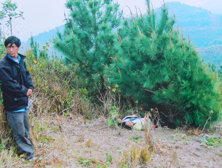 Một vụ tự tử bằng lá ngon, các thi thể nằm thê thảm bên bìa rừng.