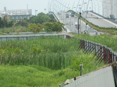 Ban hành khung giá đất hằng năm để…ngắm? - 1 Do Luật kinh doanh bất động sản còn bất cập, nhiều DN tranh nhau xí phần rồi bỏ hoang. Ảnh: LT.