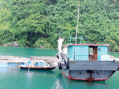 Kiểm tra khu nuôi hàu .