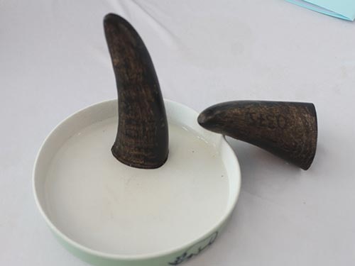 Ở Việt Nam và một số nước châu Á, sừng tê giác được cho là có khả năng chữa bách bệnh