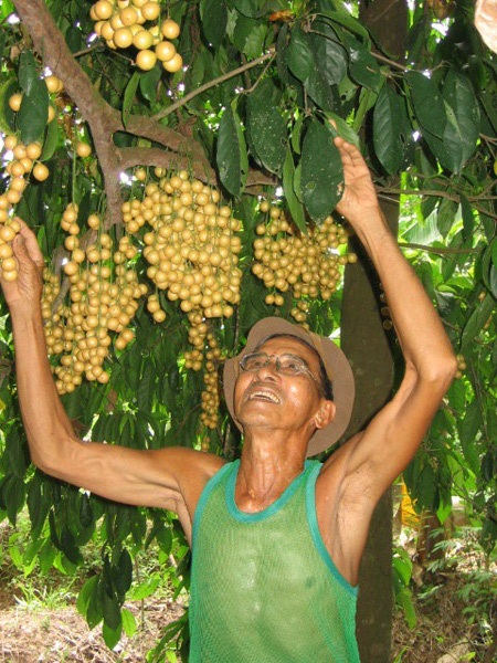 "Đại gia" nông dân chơi ngông như Công tử Bạc Liêu - 2 Tỷ phú tôm Bến Tre (Người trong hình ảnh không phải là nhân vật được nhắc tới trong bài).