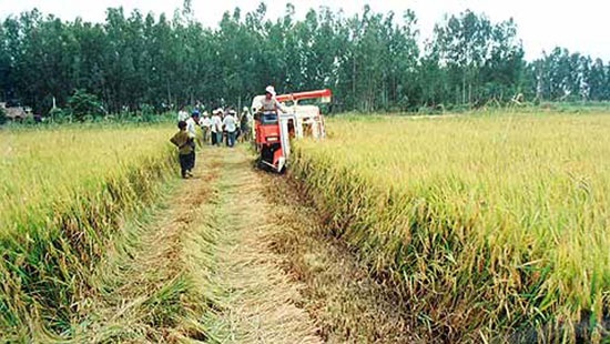 Bà Ba Sương - Người giành gian khổ về mình… - 1 Bà Ba Sương - Người giành gian khổ về mình…