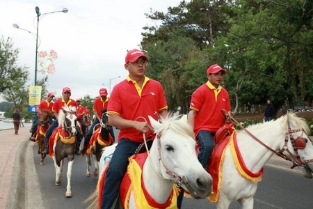Màn diễu hành ngựa náo nhiệt của VietJet Air ngày khai trường đường bay Đà Lạt - 11 Các “chàng” và “nàng”ngựa duyên dáng với yếm đỏ vàng nổi bật