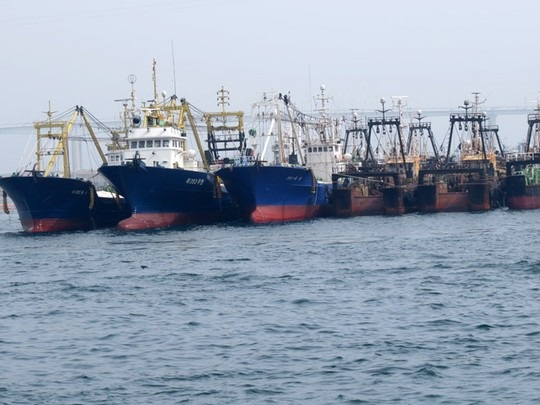 Cận cảnh đội tàu sắp mua của đại gia Sài Gòn - 6 Trang thiết bị, công cụ, ngư cụ được mua thêm cho các tàu đánh bắt từ 2 - 4 tỉ đồng/chiếc.