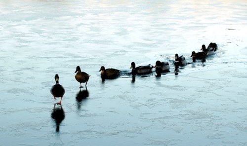 10 điều sếp giỏi nên làm cho nhân viên - 1 (Ảnh minh họa)