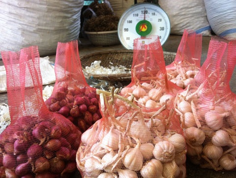 Vua tỏi Lý Sơn và ước mơ "siêu phẩm" 5 triệu/kg - 3 Tỏi Lý Sơn có giá đắt gấp 4-5 lần so với các loại tỏi thông thường