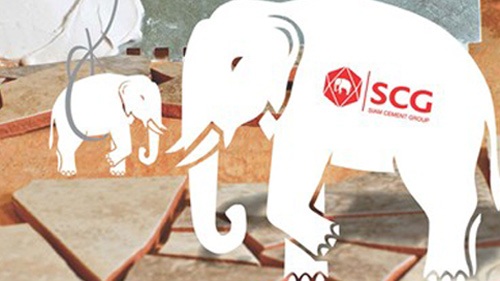 DN Thái Lan đua nhau mở rộng thị phần