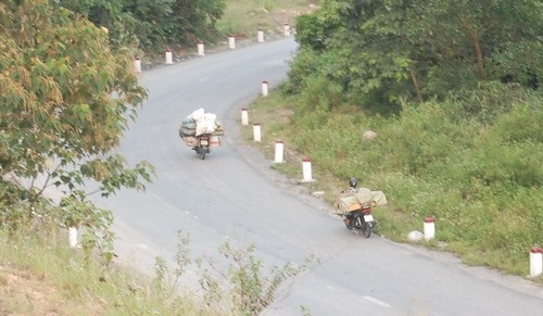 Kỳ 1: Lâm tặc lập “xưởng gỗ” giữa rừng phòng hộ - 1