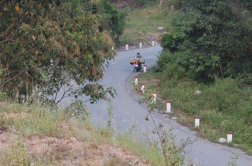 Kỳ 1: Lâm tặc lập “xưởng gỗ” giữa rừng phòng hộ - 2