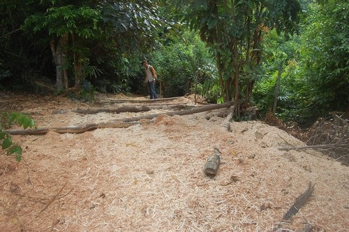 Kỳ 1: Lâm tặc lập “xưởng gỗ” giữa rừng phòng hộ - 3