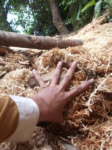 Kỳ 1: Lâm tặc lập “xưởng gỗ” giữa rừng phòng hộ - 5