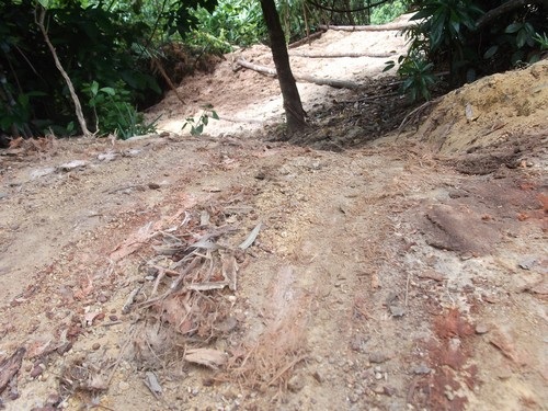 Kỳ 1: Lâm tặc lập “xưởng gỗ” giữa rừng phòng hộ - 7