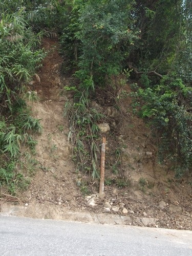 Kỳ 1: Lâm tặc lập “xưởng gỗ” giữa rừng phòng hộ - 8