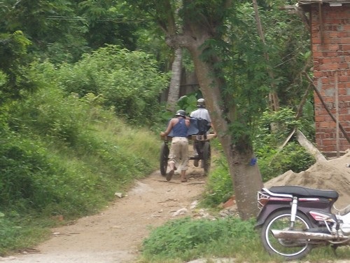 Kỳ 2: “Máu rừng” vẫn chảy về xuôi - 2