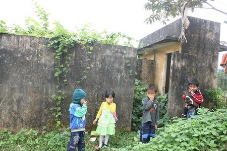 “Chỉ mong có một ly sữa mỗi tuần cho các cháu” - 5