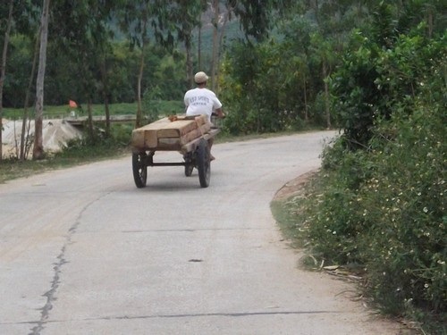 Bức tử rừng để khai thác than, dân "gồng mình" gánh hậu quả - 5