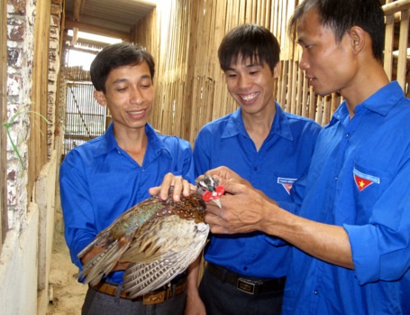Đặng Văn Tuyến (ngoài cùng, bên trái) đang chia dẻ kinh nghiệm nuôi chim trĩ với bạn trẻ địa phương