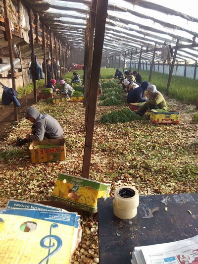 Lao động người Việt làm việc chui tại Nga