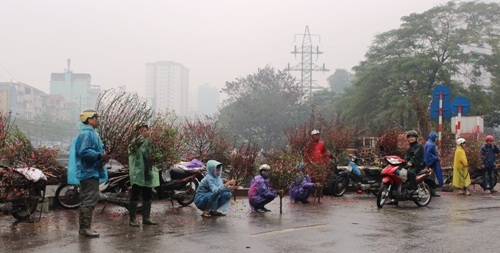 Mưu sinh trong mưa rét ngày giáp Tết - 3 Bất chấp giá rét, những người bán đào hầu như cả ngày ở ngoài trời.