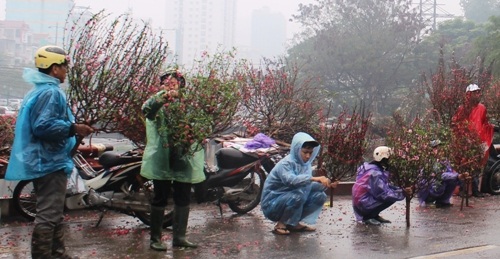 Mưu sinh trong mưa rét ngày giáp Tết - 6 Họ cố chống chọi với cái rét mong kiếm thêm chút tiền cho dịp tết sum vầy.