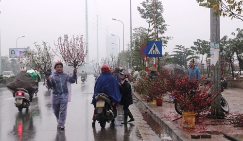 Mưu sinh trong mưa rét ngày giáp Tết - 4 Bất chấp giá rét, những người bán đào hầu như cả ngày ở ngoài trời.