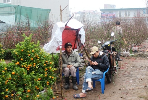 Mưu sinh trong mưa rét ngày giáp Tết - 5 Họ cố chống chọi với cái rét mong kiếm thêm chút tiền cho dịp tết sum vầy.