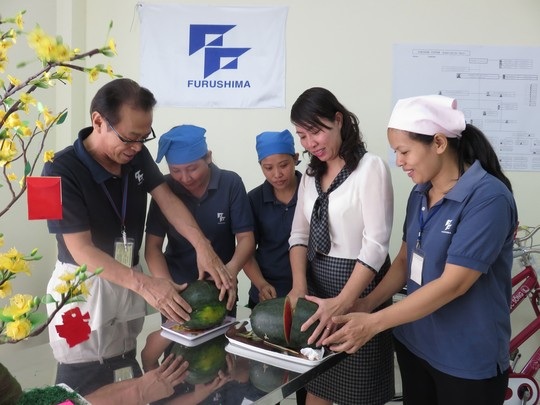 Ông Koji Yamada, Tổng Giám đốc Công ty Furushima, cùng cắt dưa hấu với công nhân vào ngày Tết