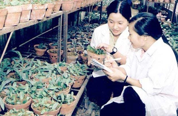 Nông nghiệp Việt Nam "khát" nhân lực - 1 Nông nghiệp Việt Nam khát nhân lực
