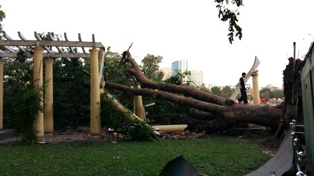 3 ngày sau giống lốc, công viên Thống Nhất vẫn ngổn ngang