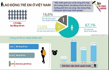 Việt Nam có tới 1,75 triệu lao động trẻ em - 2 Inforgraphic của ILO về tình trạng lao động trẻ em