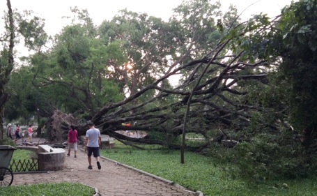 3 ngày sau giống lốc, công viên Thống Nhất vẫn ngổn ngang