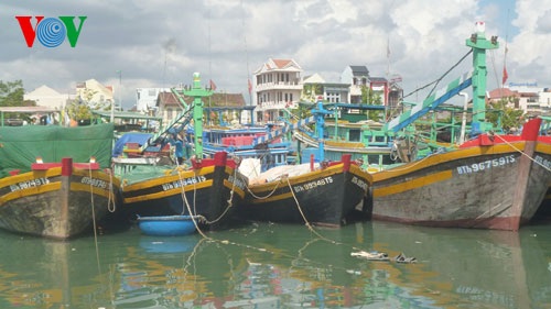 Nhiều ghe thuyền ở Phan Thiết phải nằm bờ do thiếu bạn thuyền