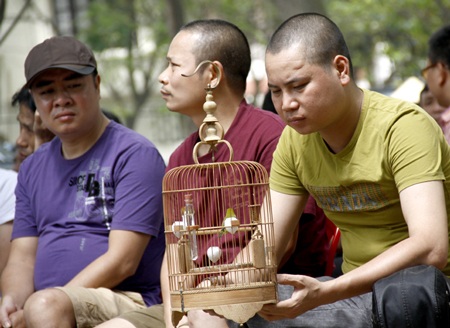 Đại gia Hà thành bỏ trăm triệu đồng chơi chim - 4 Hay ngồi suy tư một mình