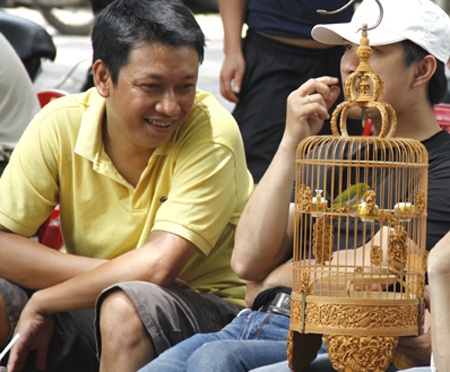 Đại gia Hà thành bỏ trăm triệu đồng chơi chim - 6 Hay ngồi suy tư một mình