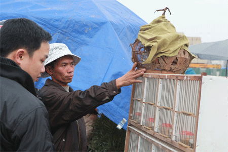 Khu đô thị hoang biến thành chợ chim, cây cảnh - 6 Kho để hàng cũng là vỉa hè