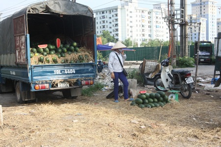 Tết Đoan Ngọ: Hoa quả đầy đường, vắng ngắt khách mua - 4 Như xe này từ sáng tới 11h trưa chỉ bán vỏn vẹn 6 quả dưa