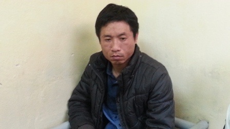 Từ sinh viên trường Luật thành kỹ sư trồng cần sa trong nhà