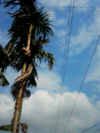 Nơi anh Vinh bị tai nạn