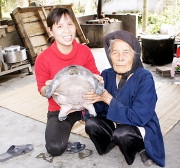 Bắt được ba ba “khủng”, nghi là “cố nhân” mất tích... 30 năm trước - 3 Cụ Nín gọi con vật là cố nhân khấn khởi khoe với người đến xem