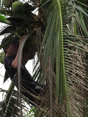 Những tội nhân này vốn dĩ chỉ là những đứa bé ngoan, yêu lao động