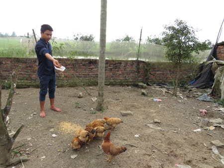 Những tội nhân này vốn dĩ chỉ là những đứa bé ngoan, yêu lao động