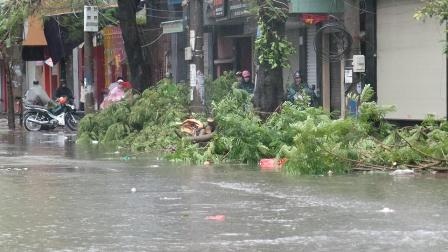 Sau bão: Nhà tốc mái, đường ngập, cây đổ la liệt - 13 Cây gãy đổ la liệt