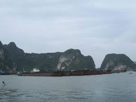 Hải Phòng, Quảng Ninh khẩn trương đối phó bão số 3 - 5 Tàu hàng đã được các cơ quan chức năng yêu cầu lai dắt về nơi tránh bão an toàn