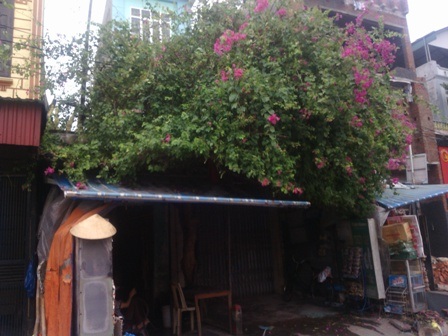 Vụ côn đồ dí súng vào công an: Một người nước ngoài bị thương - 1 Ngôi nhà nơi đối tượng Trượng cố thủ, chĩa súng vào Phó công an phường