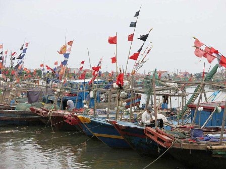 Hải Phòng, Quảng Ninh khẩn trương đối phó bão số 3 - 2 Ngư dân Hải Phòng đang đưa tàu thuyền về nơi neo đậu an toàn trước khi bão đổ bộ