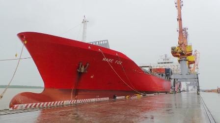 “Gói ghém” tài sản, di tản dân trước giờ bão đổ bộ - 12 Công tác neo buộc các tàu hàng, thiết bị cẩu tại cảng Tân Vũ.