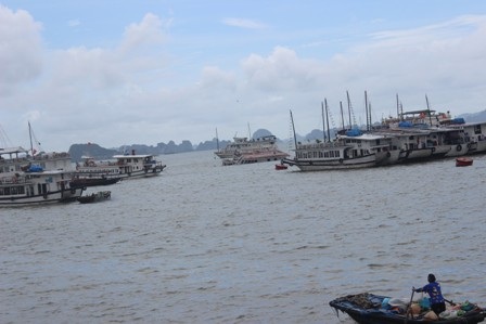 Thêm 2 tàu du lịch bị chìm trên Vịnh Hạ Long - 1 Vị trí bãi neo đậu nơi tàu du lịch bị chìm