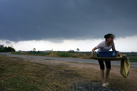 Tìm lại những triền đê Hà Nội - 2 Tìm lại những triền đê Hà Nội - 2